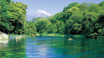 柿田川公園